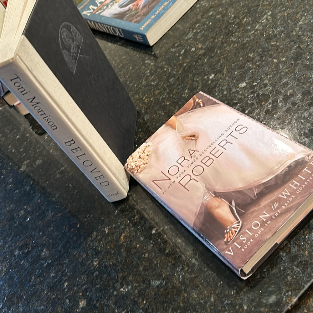 Adult 2 book lot, Beloved by Toni Morrison, Vision in White by Nora Roberts
